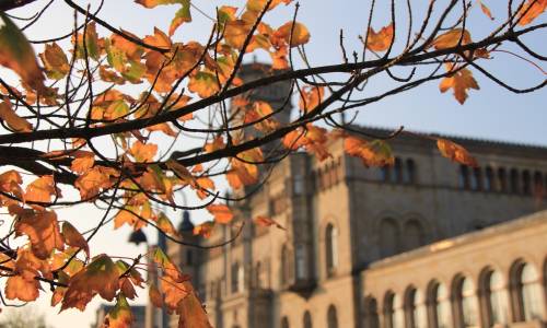 university-of-hannover-3855774_1280 university-of-hannover-3855774_1280